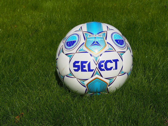 以色列已经 以色列已经