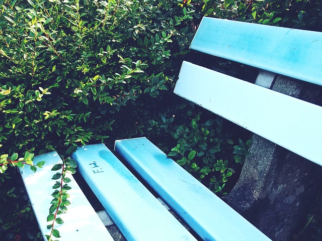 随着比赛的 随着比赛的