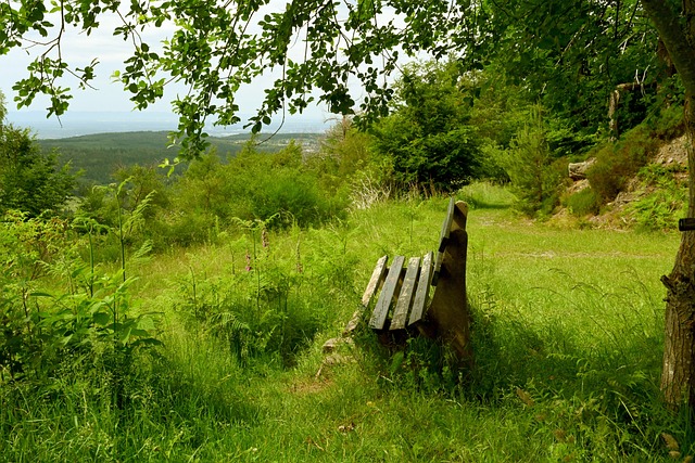 望以及对未 望以及对未
