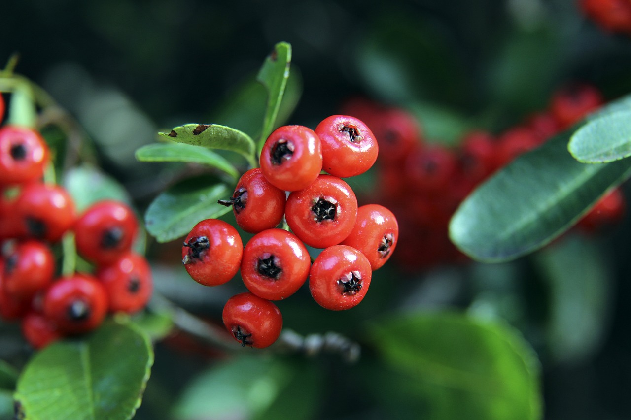 和進一步的 和進一步的